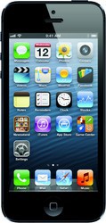 Apple iPhone 5 16GB - Нижний Новгород