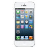 Apple iPhone 5 32Gb white - Нижний Новгород